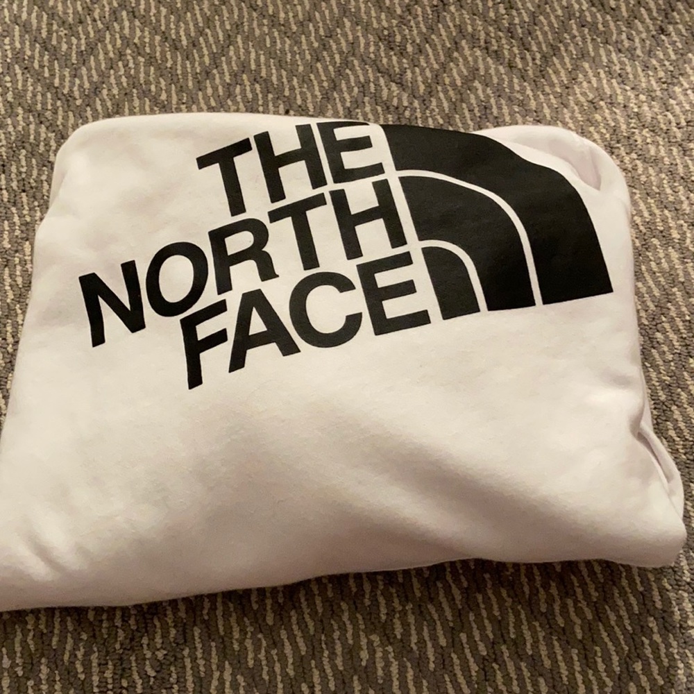 the north face hoodie